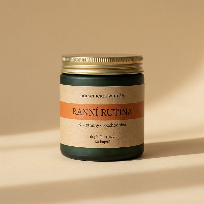 Ranní rutina